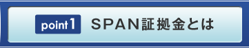 SPAN証拠金とは